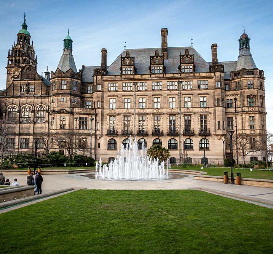 Public Sector & Medical