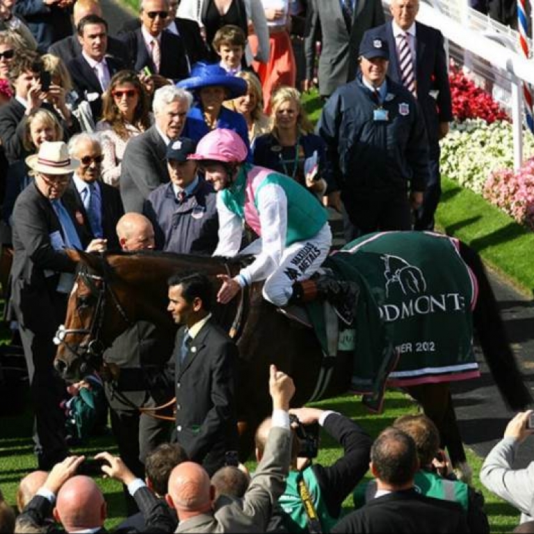 Event Safety Steward/Licenced Officer